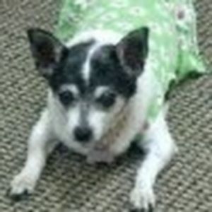 Meet your Posher, Rosalind